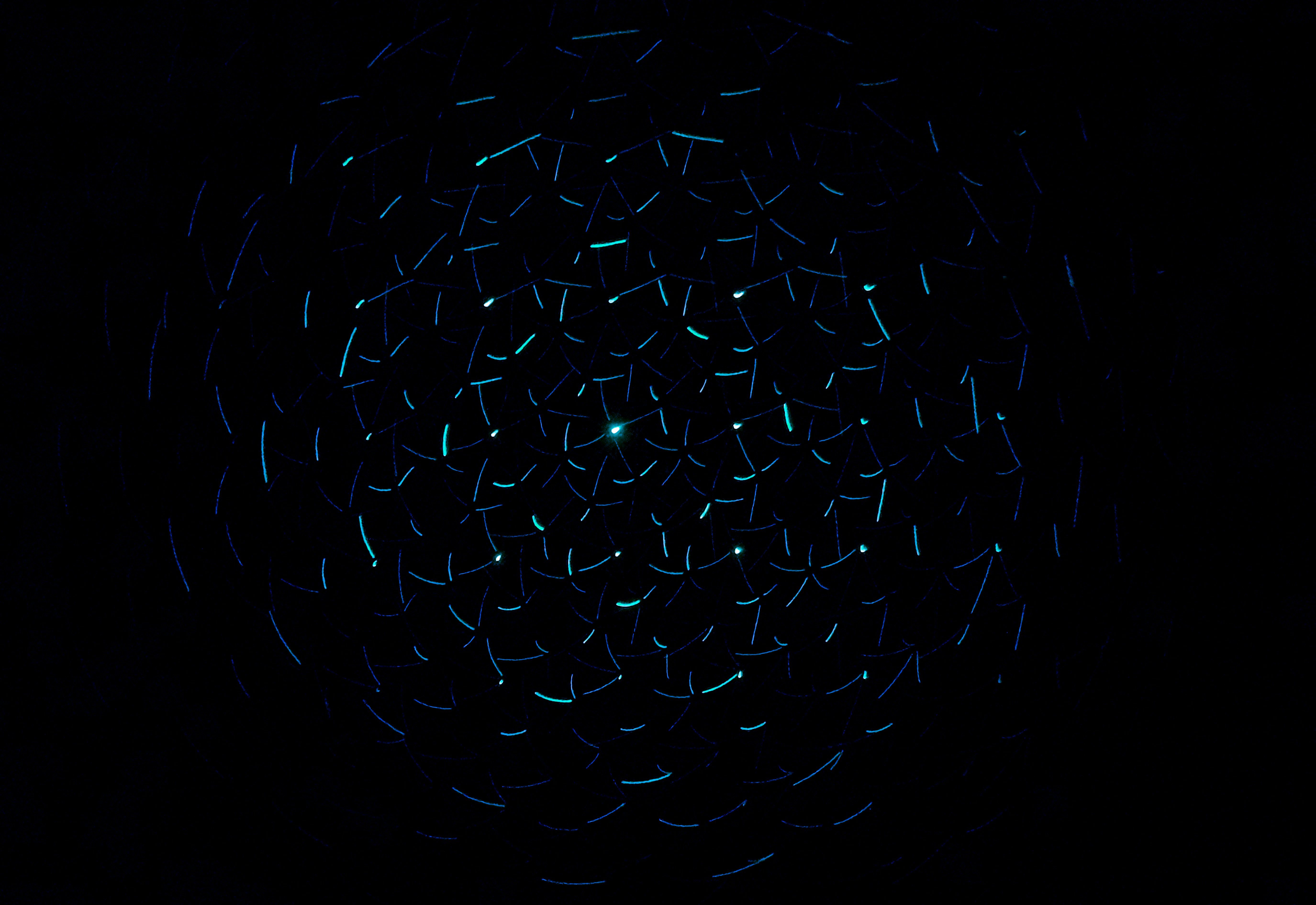Dark abstract project
